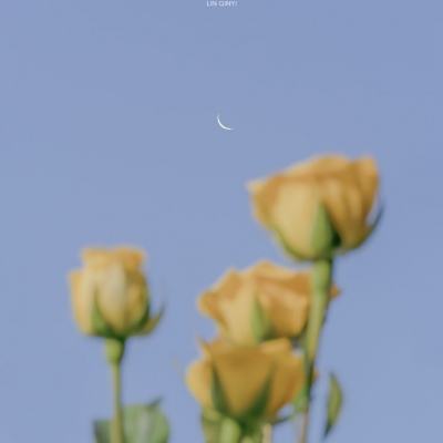合并故事装饰房间手游下载